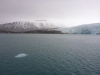 Bootsfahrt nach Pyramiden